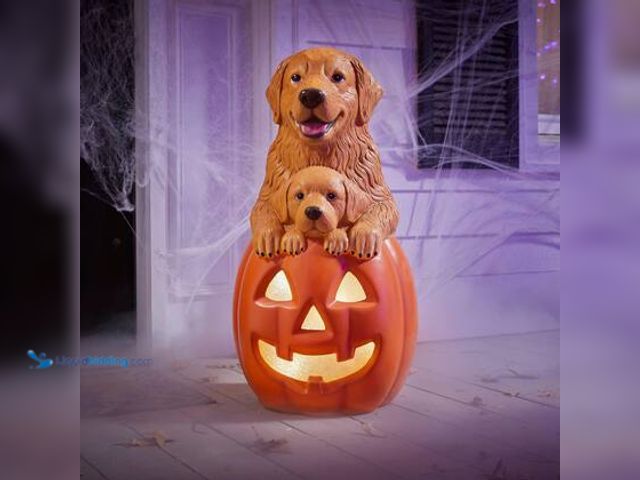 Lot 49-5572020 - Home Accents Holiday 2.5 ft Halloween Classics Hand-Painted LED Golden Retriever with Puppy Greeter....