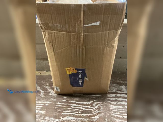 Lot 49-5572362 - FluffCo Down Alternative Pillows - King Size, Soft (2 Pack). Model: B09YVN7WFD. Unused