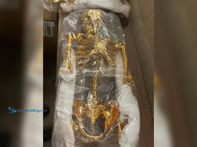 Lot 49-3522384 - 60" Poseable Golden Skeleton New