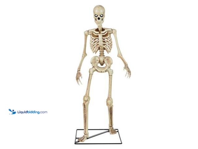 Lot 49-5553382 - QTY 3 - Home Accents Holiday 3 FT LED Skelly Model # 23SV23630 UNUSED.