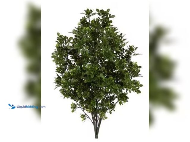 Lot 49-3523426 - Nearly Natural 2.5 ft. Green Tea Leaf Artificial Plant UV Resistant (Indoor/Outdoor). Model # 6280-S...