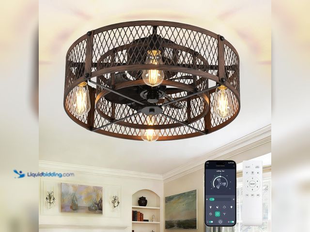 Lot 49-5553153 - Depuley Flush Mount Ceiling Fan: 20" Caged Ceiling Fans with Lights and Remote App Control for Kitch...