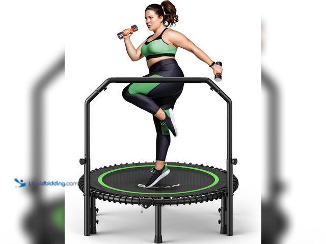 Lot 49-5554448 - BCAN BT2 40/48" Rebounder Trampoline for Adults, Handle, Indoor, 450/550lbs | Bungees Rebounder for ...