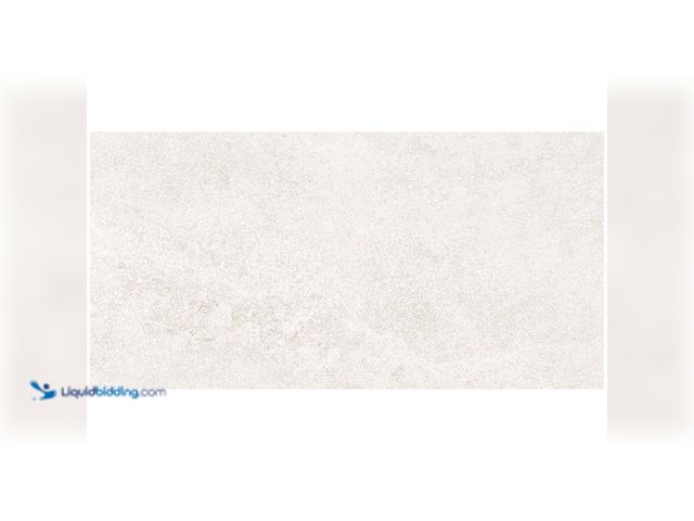 Lot 49-5440124 - Giorbello
Italian Metalia Porcelain 12 in. x 24 in. x 9mm Flooring and Wall Tile - White (7 PCS/Cas...