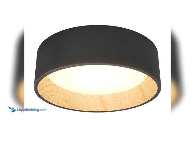 Lot 49-5409056 - Artika
Alton 13 in. 1-Light Modern Black and Wood Integrated LED 3 CCT Flush Mount Ceiling Light Fi...