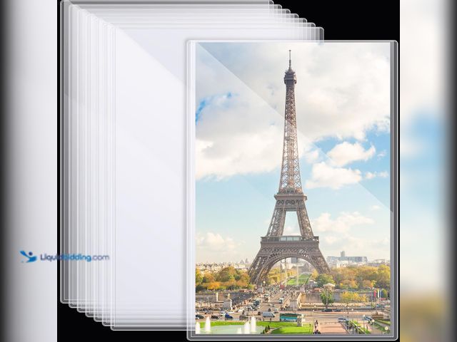 Lot 49-5553617 - 12 Pcs Poster Protector Sleeves 22 x 28 Inch, Clear Plastic Poster Sleeves Frame, Waterproof Rigid P...