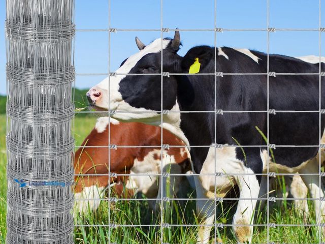Lot 49-5580707 - Garvee Livestock Fence, 5Ft x 328Ft Galvanized Wire Fencing, Cattle Farm Fence, Deer Fences, Heavy Z...