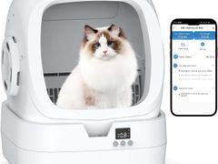 Lot 49-5474988 - undefined