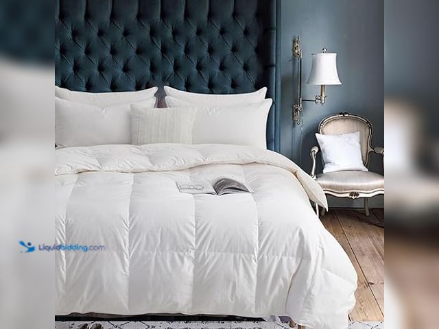 Lot 49-5448722 - Ambassador Canadian Goose Down Duvet - Ultra-Soft, Breathable, Fluffy, Baffle-Box Design, Corner Tab...