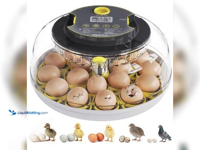 Lot 49-5436495 - Incubator for Hatching Eggs-18 Egg Capacity, Automatic Egg Turner, Temperature & Humidity Control, 3...