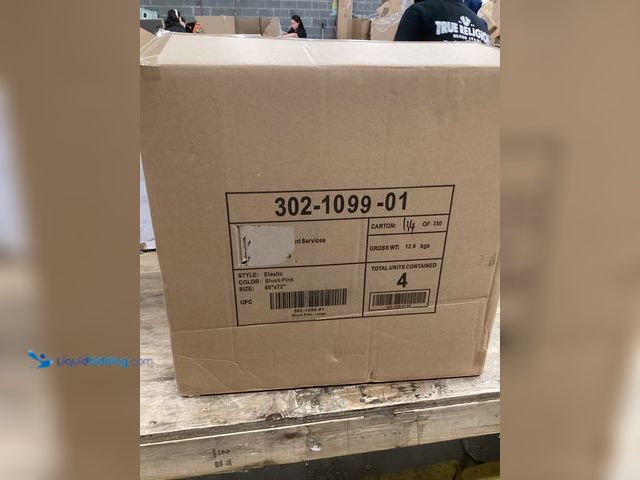 Lot 49-5461107 - Mason Brooks Indigo Shag CG60A Bit of Sugar Geometric Transitional White Area Rug, 2'6" X 4', Model#...