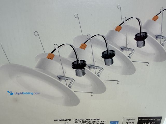Lot 49-1807069 - Ecosmart
5 in / 6 in recessed 10 w lights
4 pack 
Slightly Used