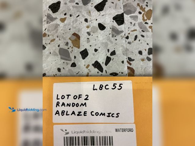 Lot 49-5489318 - Lot of 2 Random Ablaze Comics. Unused.