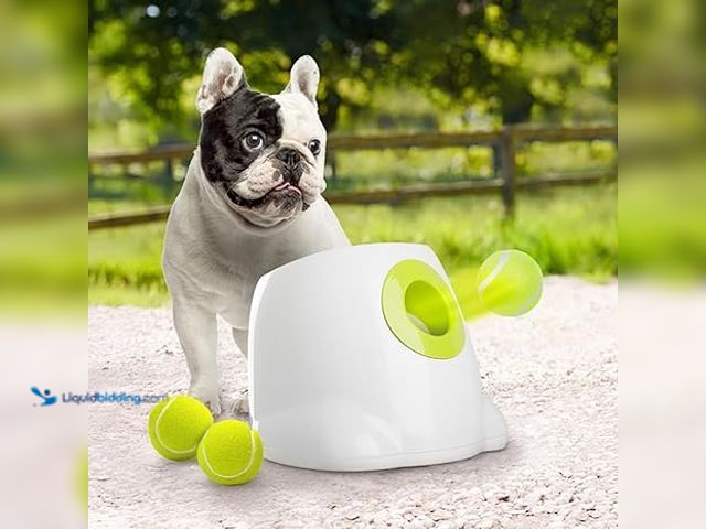 Lot 49-5452139 - ALL FOR PAWS Original Dog Automatic Ball Launcher for Small and Medium Dogs, Interactive Dog Tennis ...