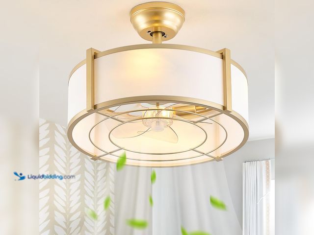 Lot 49-3511861 - 20" Gold Fandelier Ceiling Fans with Lights, Boho Rattan Ceiling Fan with Light Remote Control, Cage...