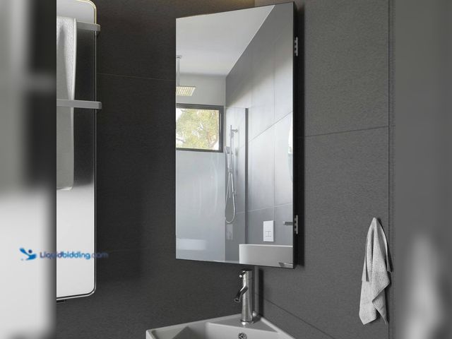 Lot 49-5552625 - eclife
12.8 in. W x 24.2 in. H Rectangular Single Door Corner Surface Mount Frameless Medicine Cabi...