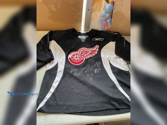 Lot 49-1830523 - COLLECTIBLE AMAZING DETROIT RED WINGS MULTI SIGNED REEBOK JERSEY. APPEARS TO BE 14 AUTOGRAPHS OF VAR...