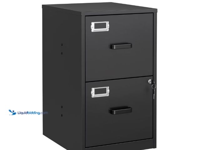 Lot 49-1557131 - STANI 2 Drawer Filing Cabinet with Lock, Metal Vertical File Storage Cabinets for Home Office, Lette...