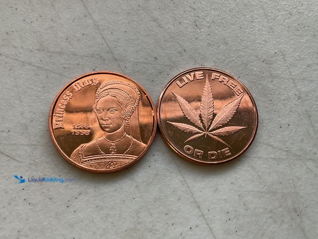 Lot 49-1505025 - LOT OF 2 COLLECTIBLE FACE ONE AV OUNCE .999 FINE COPPER COINS