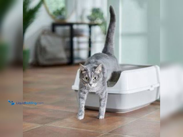 Lot 49-3564162 - Collapsible Litter Box Unused