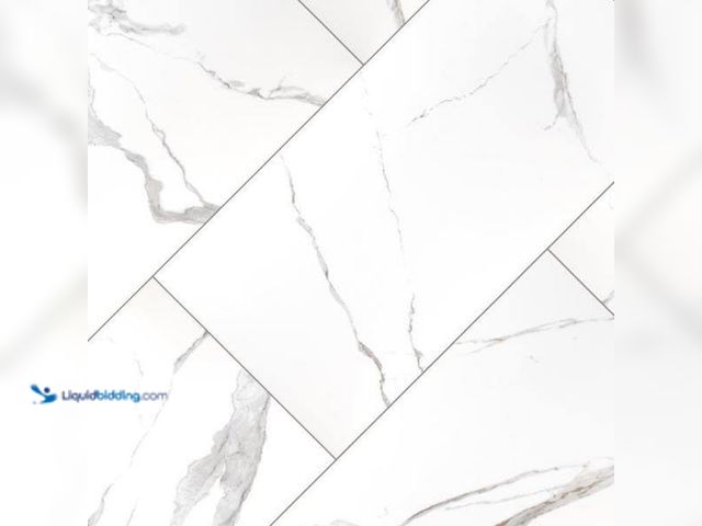 Lot 49-5543802 - Approx 200 sq.ft. MSI
Ader Tegel 24 in. x 48 in. Polished Porcelain Floor and Wall Tile (8 sq. ft./...