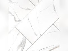 Lot 49-5543802 - undefined