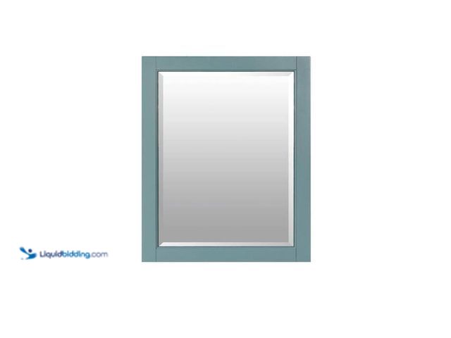 Lot 49-2024590 - Home Decorators Collection Beverly 24 in. W x 32 in. H Rectangular Wood Framed Wall Bathroom Vanity ...