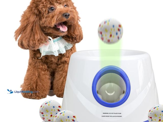 Lot 49-1555601 - Automatic Dog Ball Launcher, Upgraded Dog Ball Throw Launcher, Adjustable Distance 20-45FT, for Smal...