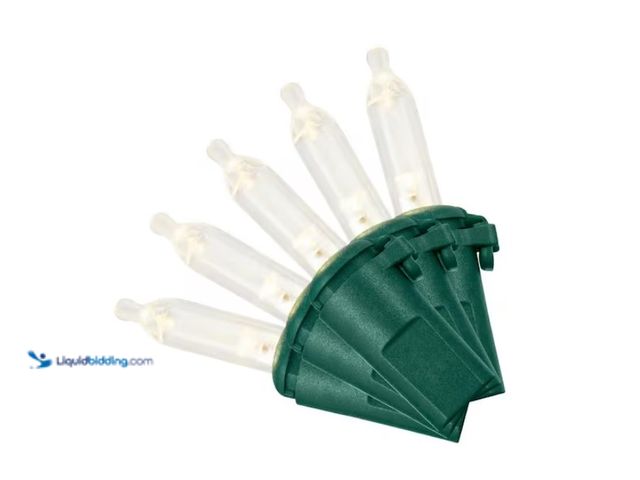 Lot 49-1547229 - (12) Home Accents Holiday 100 Warm White Mini LED String Lights with Green Wire, Model # 22RT100SM-W...