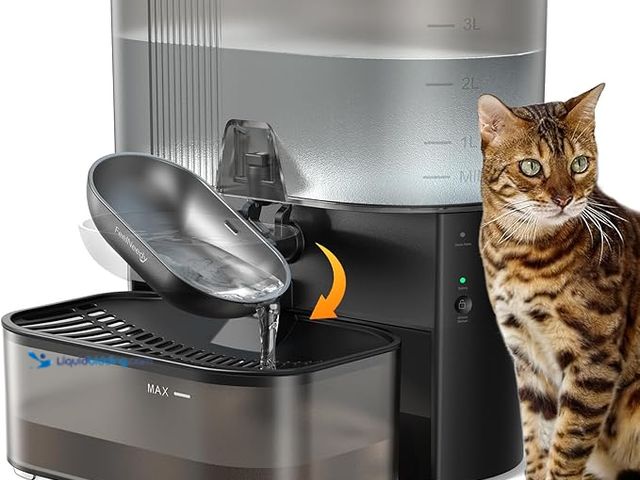 Lot 49-3433571 - FEELNEEDY Wireless Cat Water Fountain No Filters, Wastewater Separation, FEELNEEDY Stainless Steel B...