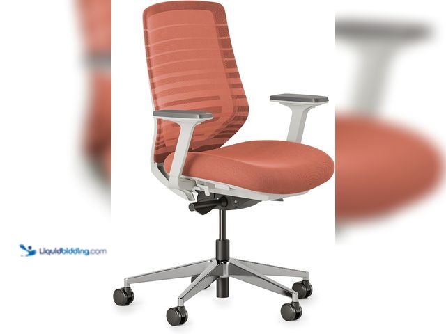 Lot 49-3462971 - Branch Ergonomic Chair - A Versatile Desk Chair with Adjustable Lumbar Support, Breathable Mesh Back...
