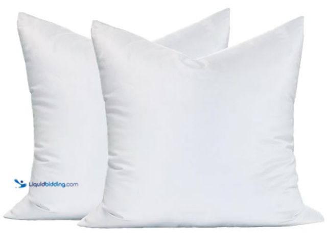 Lot 49-1558946 - Synthetic Soft 21x21 Square Pillow Insert Form, for Decorative Throw Pillow, Sofa, Cushions, Body an...