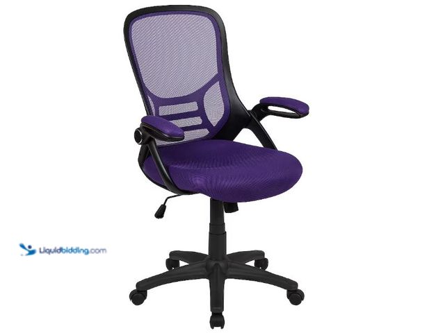Lot 49-5573557 - Flash Furniture Porter Purple Contemporary Adjustable Height Mesh Executive Chair
Item #3627770 |
...
