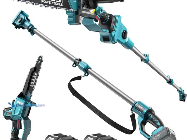 Lot 49-5553411 - SEESII 10-Inch 2-in-1 Cordless Pole Saw & Mini Chainsaw,2 x 4.0Ah Batteries | Brushless Handheld Cha...
