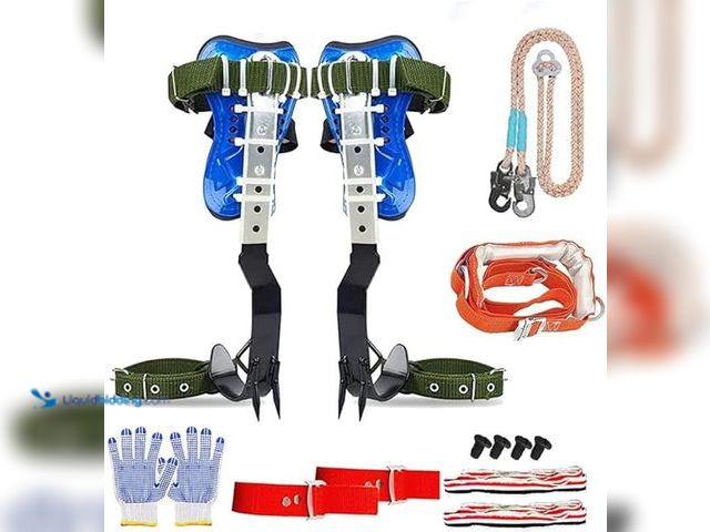 Lot 49-5433731 - Tree Climbing Spike, Tree Climbing Spike Set 2 Gears Non-Slip Tree Climbing Gear, Tree Climbing Tool...