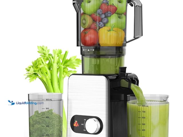 Lot 49-3433446 - Electactic Cold Press Juicer, 4.35" Large Feed Chute Juice High Juice Yield with Slow Masticating Ju...