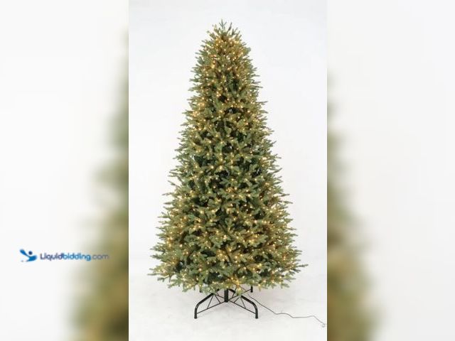 Lot 49-2005552 - Home Accents Holiday 9-ft. Pre-Lit LED Jackson Noble Fir Christmas Tree, Model # 1006215461, Slightl...