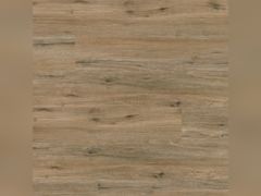 Lot 49-5574051 - undefined