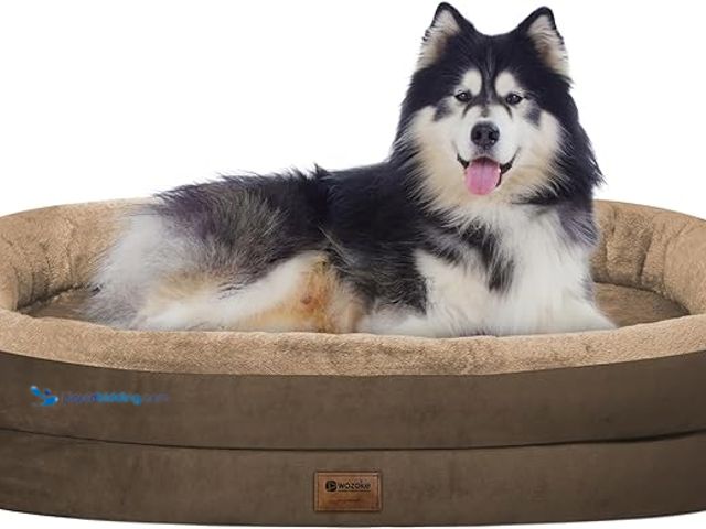 Lot 49-1572151 - Orthopedic Waterproof Large Dog Bed: Memory Foam Washable Dog Bed with Bolsters - XXL Orthopedic Rem...