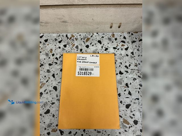 Lot 49-5489294 - Lot of 2 Random The Spirit Comics.Unused.