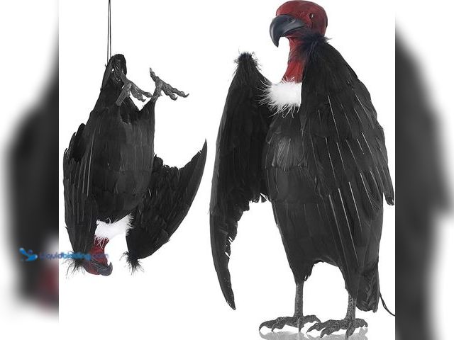 Lot 49-5433829 - Tenceur 1 Piece Faux Vulture Effigy 18'' Large Fake Vulture Decoys Simulated Full Feathered Realisti...