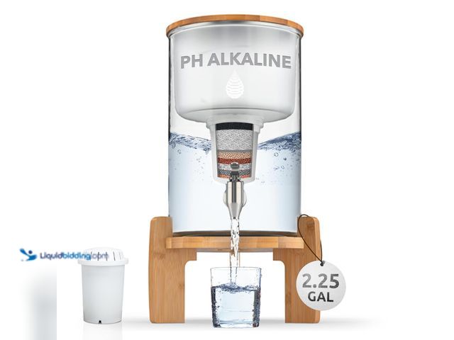 LiquidBidding - Lot 49-5516211 - Invigorated Water pH Recharge Glass ...
