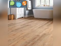 Lot 49-1568365 - undefined