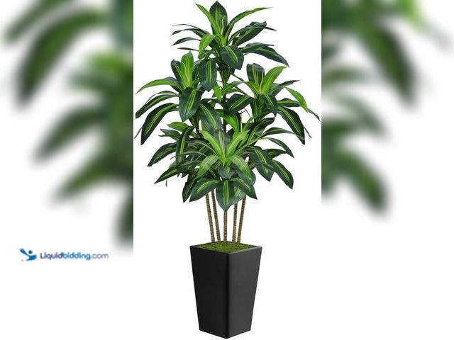 Lot 49-5437282 - Artificial Dracaena Tree 6FT (Black) [Model: B0DP6SBTDW] Used. Scuff/scratches