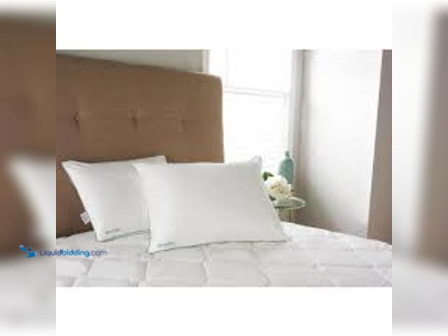 Lot 49-5476758 - QTY 2 - Isotonic Memory Foam Traditional Pillow. Model # 031374521457. Unused.