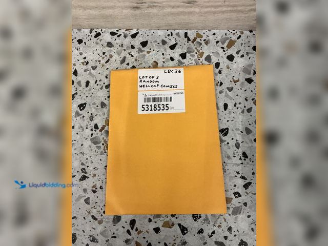 Lot 49-5489302 - Lot of 3 Random Hellcop Comics. Unused.