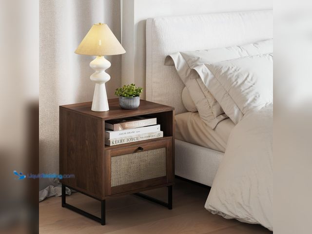 Lot 49-5552599 - Nathan James Mina Boho Nightstand, Small Nightstand, Rattan End Table with Storage, Walnut Side Tabl...