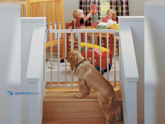 Lot 49-5459646 - Toddleroo by North States - Stairway Swing Wooden Baby Gate: Wood Baby Gate for Stairs - Adjustable ...