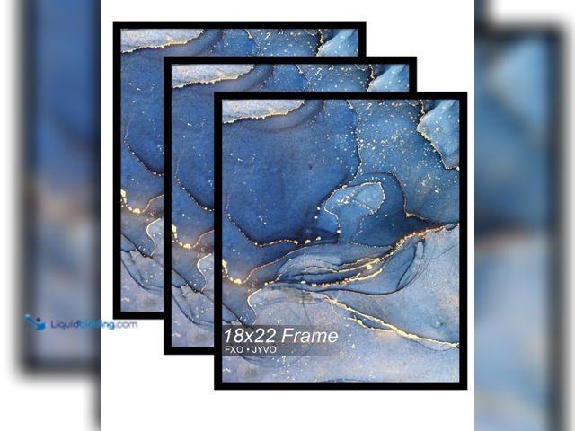 Lot 49-1569119 - Fxojyvo 18x22 Picture Frame Set of 3, Black Frame for 18 x 22 Inch Picture Poster Photo, Light Weigh...