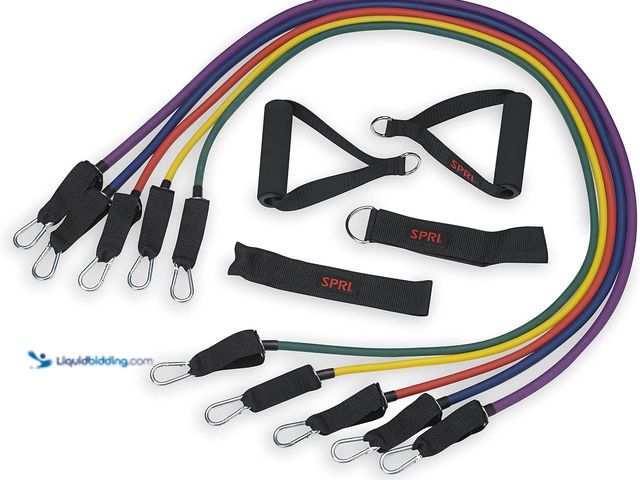 Lot 49-5539887 - QTY 2 - SPRI Resistance Band Kit - Resistance Training Interchangeable Tubes for Full Body Toning - ...